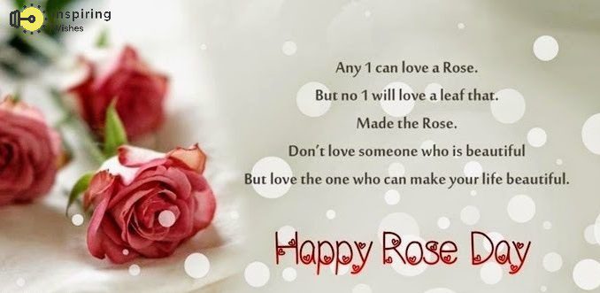 Amazing Rose Day Quotes for Lover