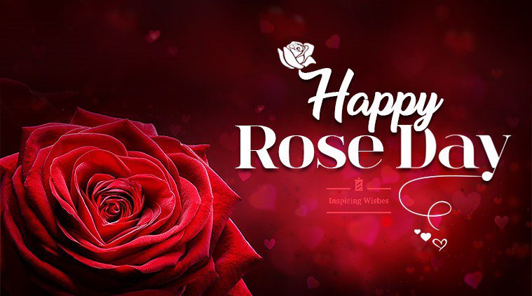 Best Rose Day Greeting Message
