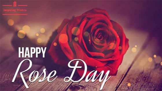 Happy Red Rose Day 2022 Wishes, Message