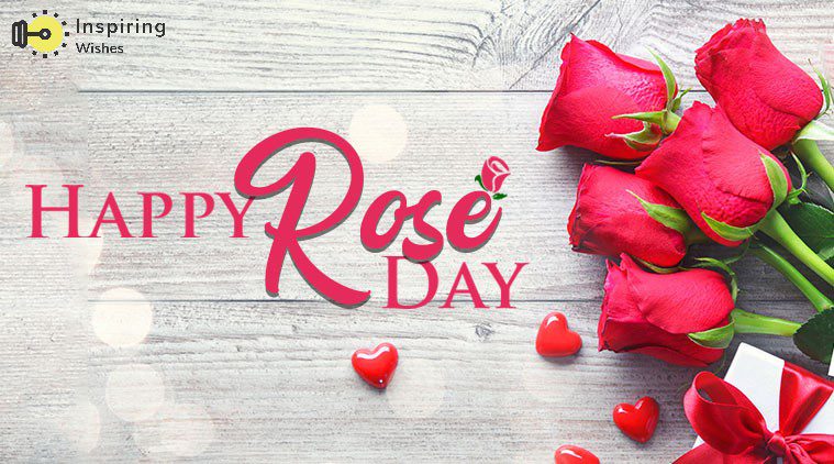 Wish You Happy Rose Day My GF Wife
