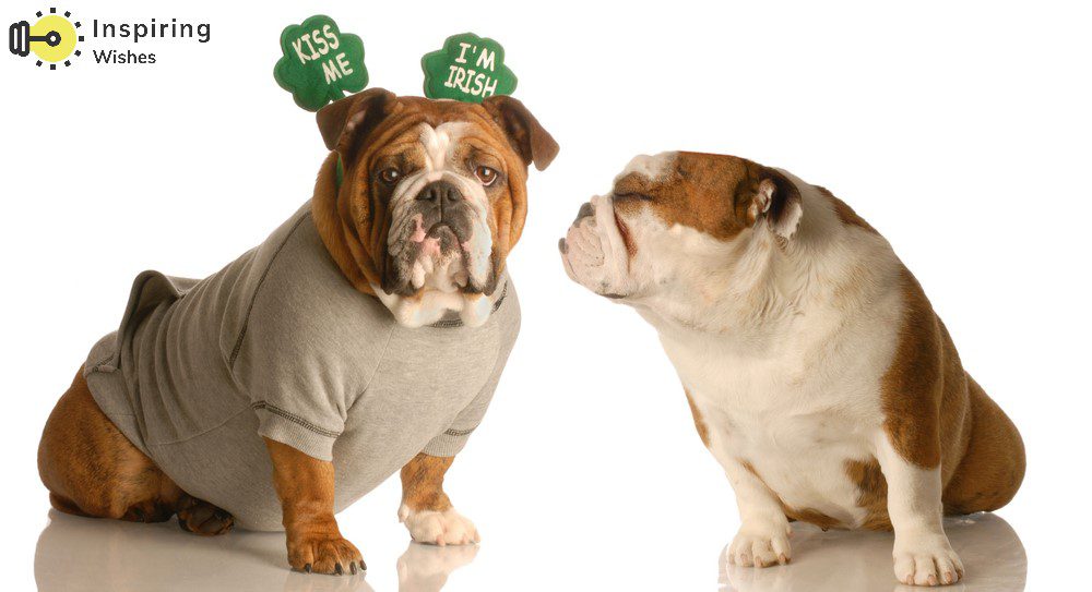 St Patrick's Day Photo for FB