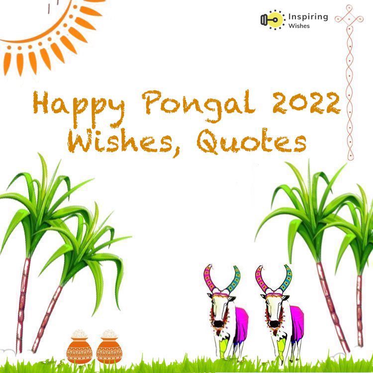 Happy Pongal 2022 Wishes, Quotes