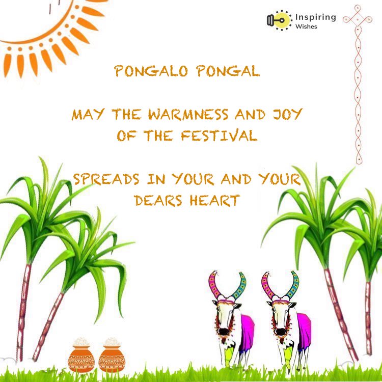 Happy Pongal 2022 Wishes in English