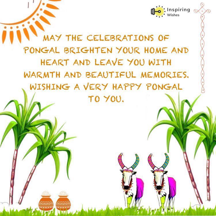 Happy Pongal Quotes in English