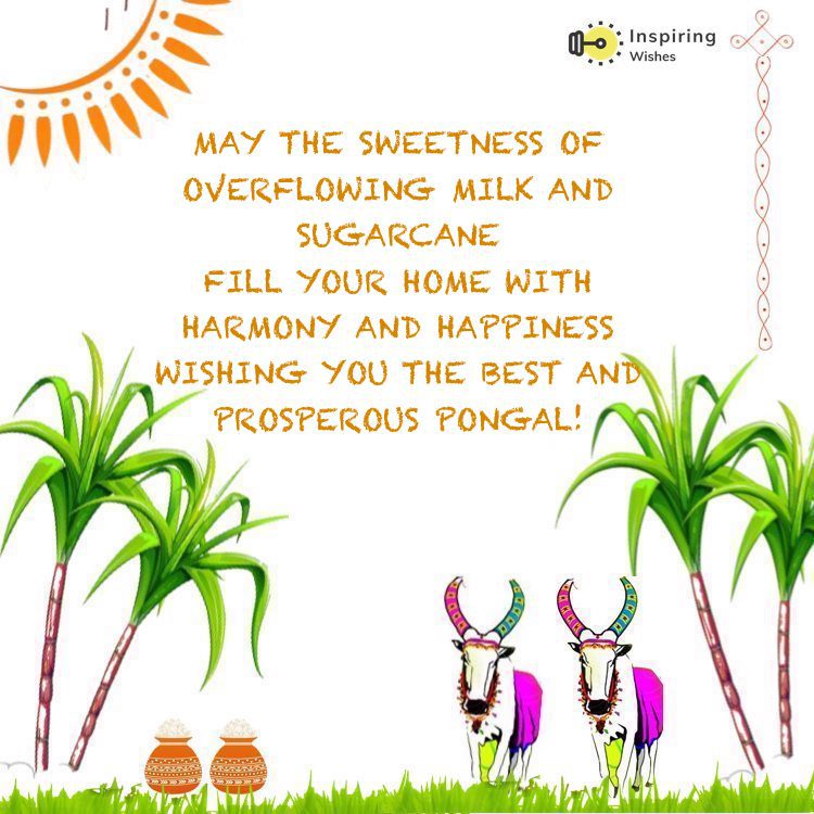Pongal 2022 Wishes